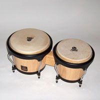 The bongos