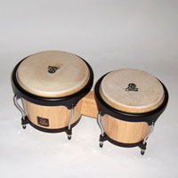 Les bongos