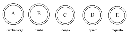 Nomenclature des congas